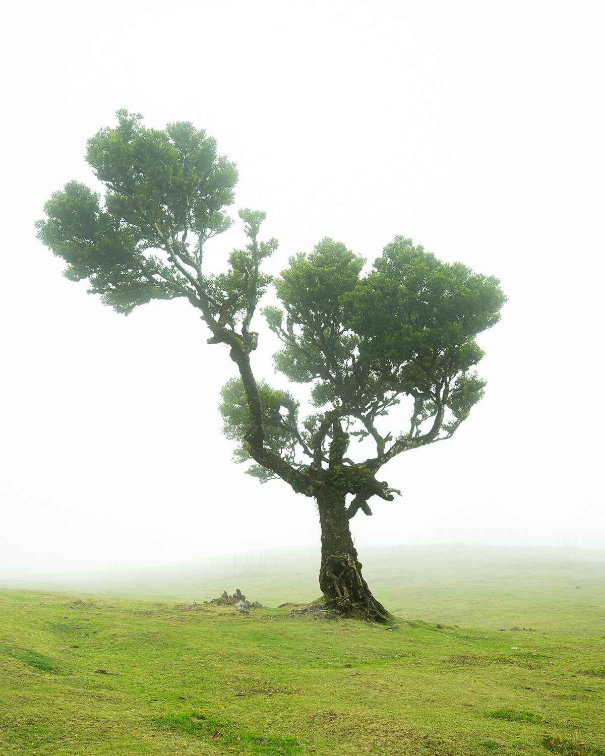 The Road Less Travelled Series