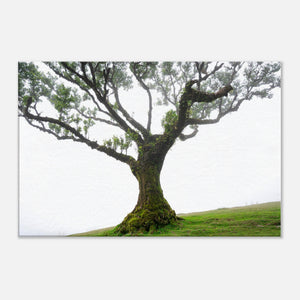 e200bd9d-9463-4122-9cbf-8c832f28bd5f