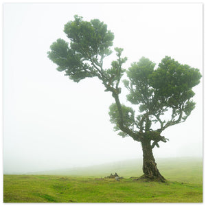 ec4c1ab5-0279-4da5-901f-3767d8f94d70